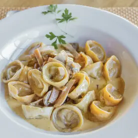 Restaurante que aceitam Pet friendly na Praia Rosa